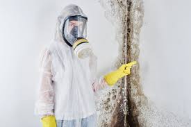 Biohazard Mold Removal in Sterling City, TX